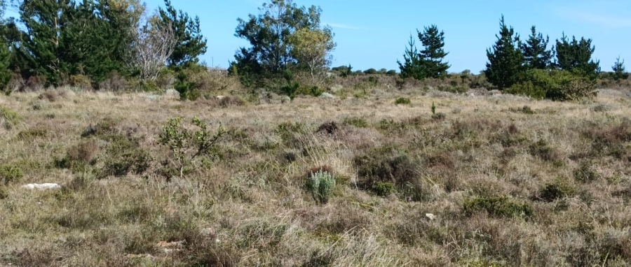 4 Bedroom Property for Sale in Aalwyndal Western Cape